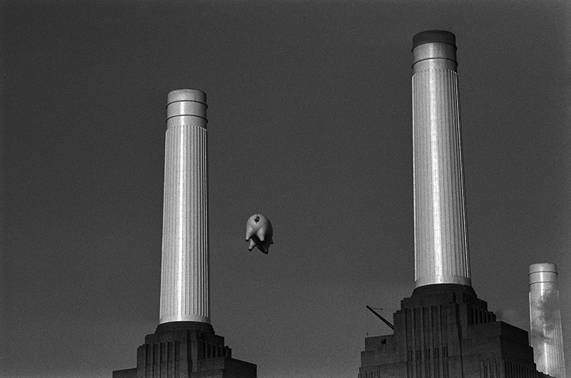Pink Floyd, Animals Cover Shoot (10A), Battersea Power Station, London, 1976
