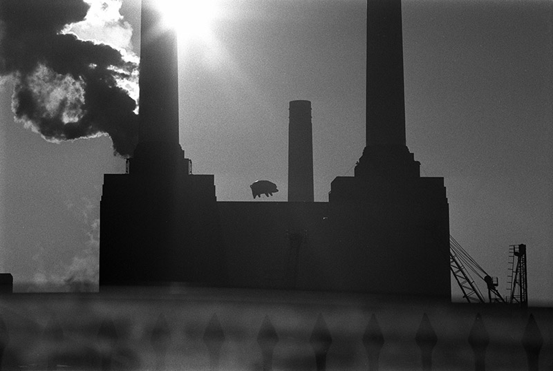 Pink Floyd, Animals Cover Shoot (28A), Battersea Power Station, London, 1976
