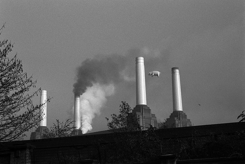 Pink Floyd, Animals Cover Shoot (23A), Battersea Power Station, London, 1976