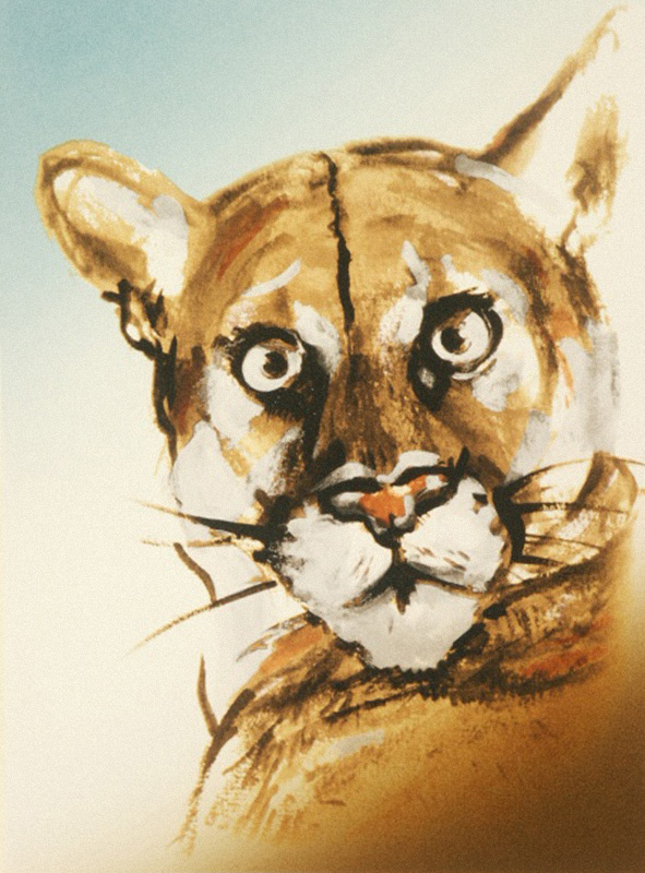 Endangered Species Suite - Florida Panther, 1995