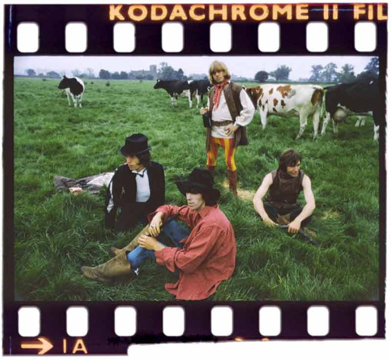 The Rolling Stones & Cows, Derbyshire, 1968