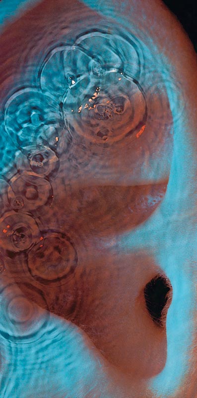 Pink Floyd, Meddle Album Cover, 1971