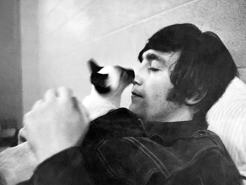 John Lennon, Cat, Shea Stadium, NY, 1965