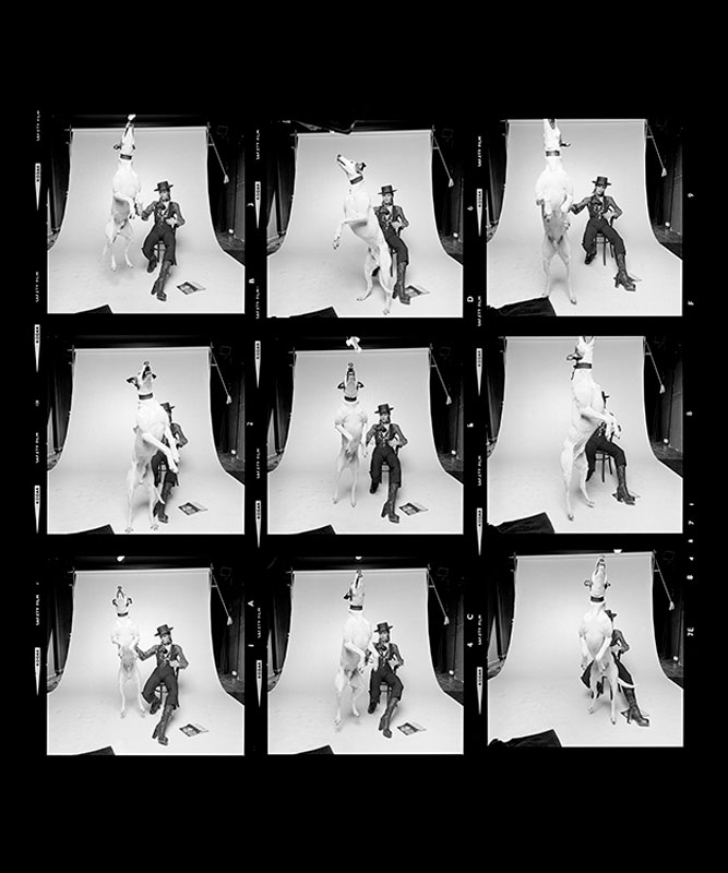 David Bowie, Diamond Dogs Contact Sheet, 1974