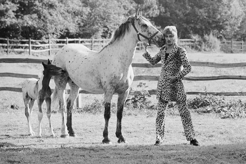 Rod Stewart with his Horse and Foal, Windsor, England, 1971