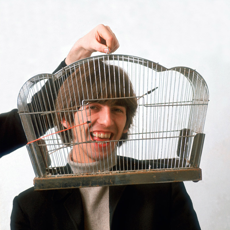 George Harrison, Birdcage, London, 1966
