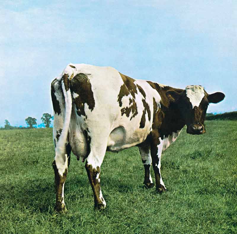 Pink Floyd, Atom Heart Mother Album Cover, 1970