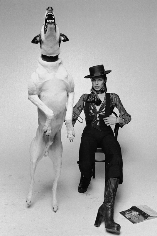 David Bowie, Diamond Dogs (Outtake), 1974
