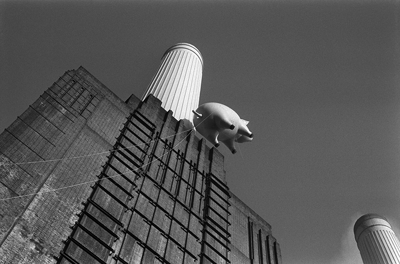 Pink Floyd, Animals Cover Shoot (8A), Battersea Power Station, London, 1976