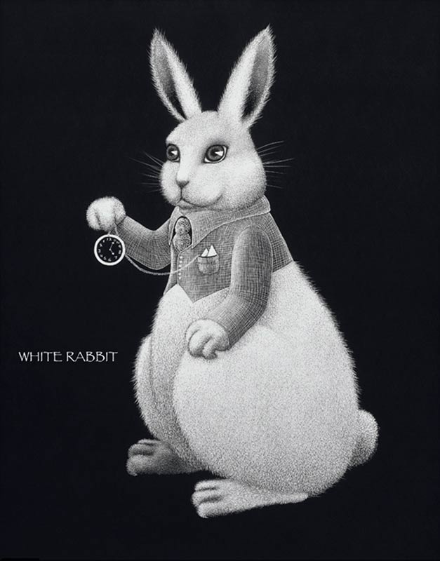 The White Rabbit, 2007