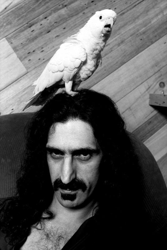 Frank Zappa, Hollywood, 1979