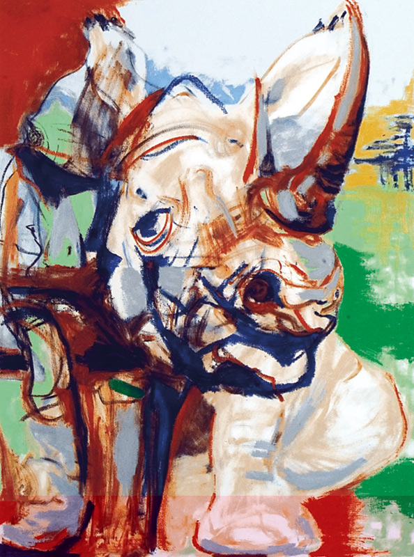 The Range Folio - Rhino, 2005