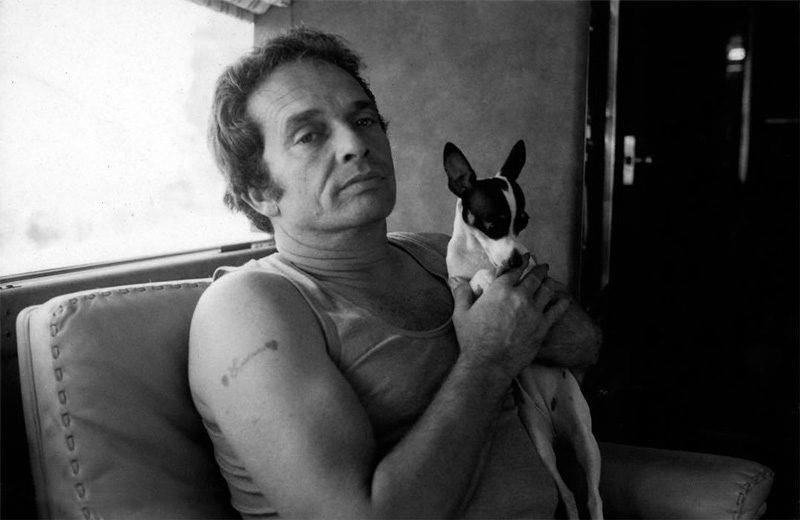 Merle Haggard with his Chihuahua, 1977