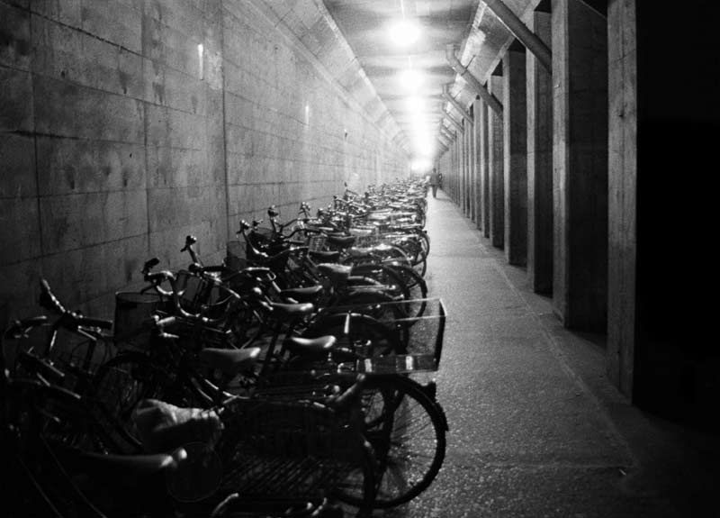 Long Line of Bicycles, 1987