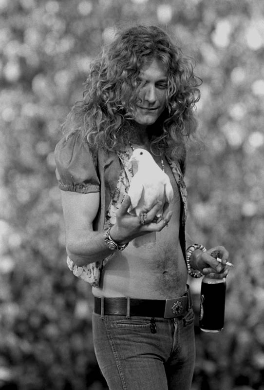 Robert Plant With Dove, San Francisco, 1973