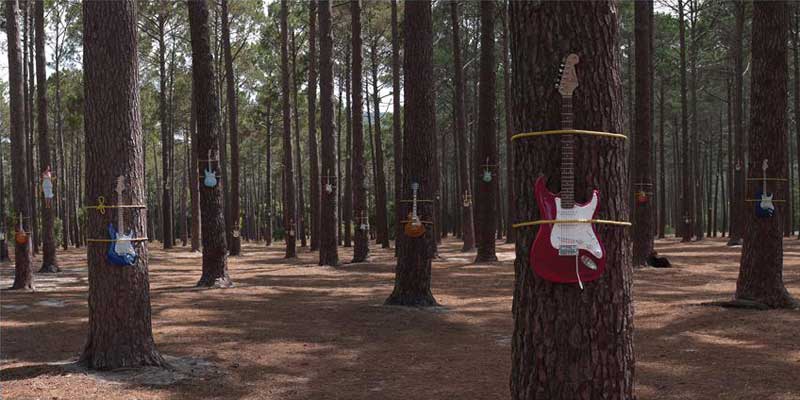 The Plea, Oh Aye Yay Album Cover (Guitars On Trees), 2013