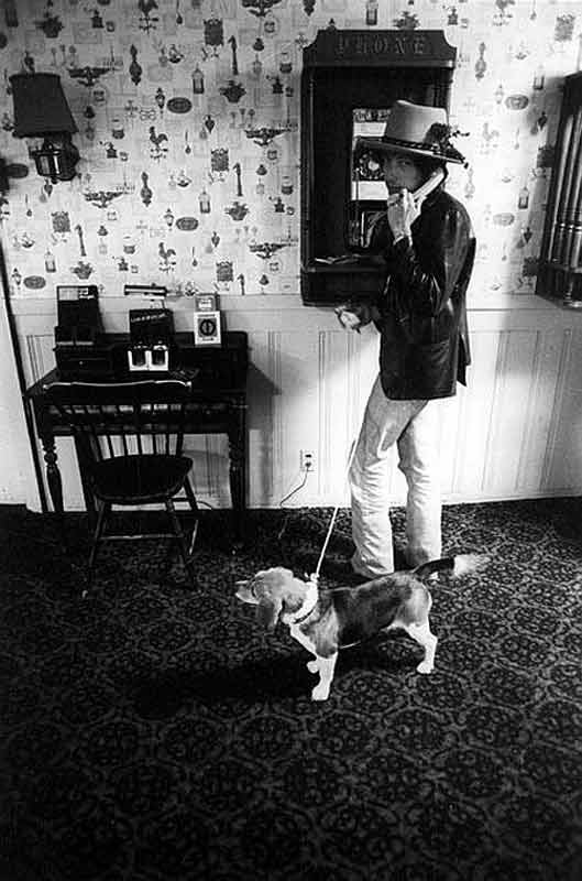 Bob Dylan Using a Payphone with his Beagle, 1975